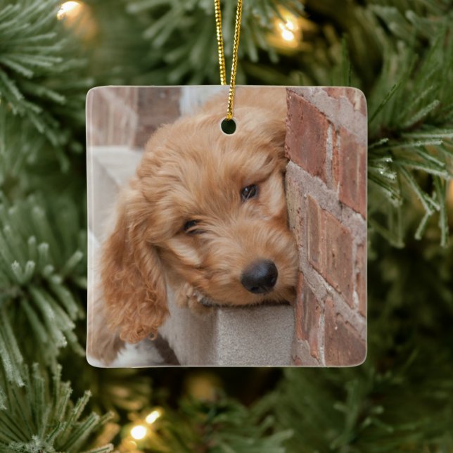 Goldendoodle Puppy Peeking Ceramic Ornament (Tree)