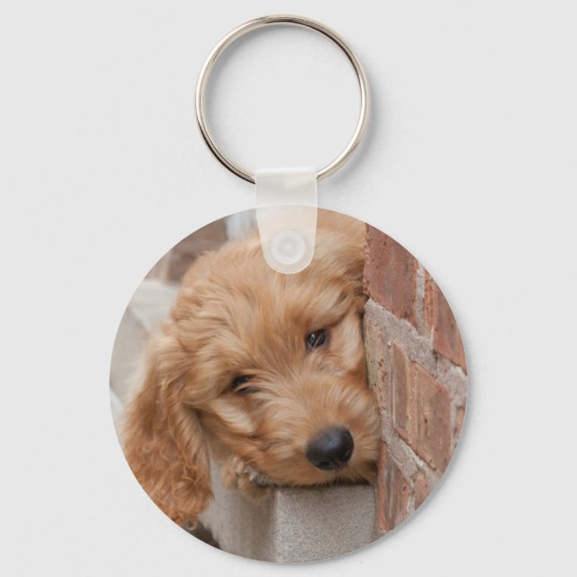 Goldendoodle Puppy Peeking Key Ring (Front)