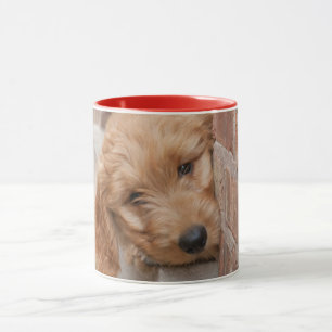 Goldendoodle Puppy Peeking Mug