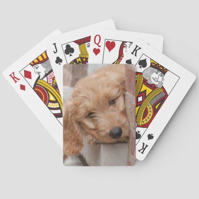 Goldendoodle Puppy Peeking Playing Cards (Back)