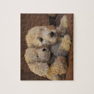 Goldendoodle Puppy Puzzle