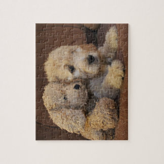 Goldendoodle Puppy Puzzle