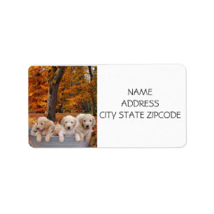 GOLDENDOODLE PUPPY RETURN LABELS