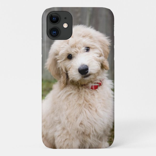 Goldendoodle Puppy Sits In Grass Case-Mate iPhone Case (Back)