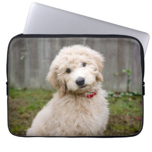 Goldendoodle Puppy Sits In Grass Laptop Sleeve