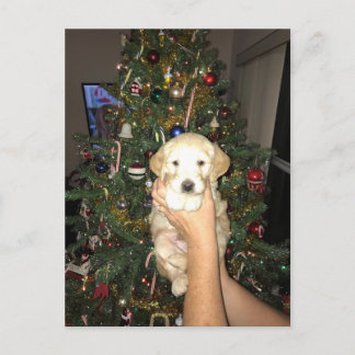 GoldenDoodle Puppy With Christmas Tree Holiday Postcard