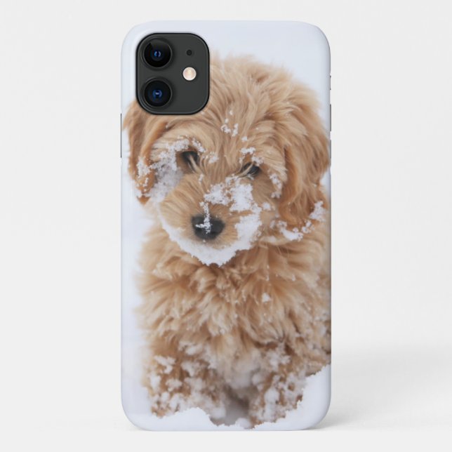Goldendoodle Puppy With Snow On Face Case-Mate iPhone Case (Back)