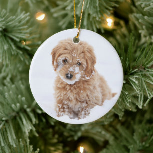 Goldendoodle Puppy With Snow On Face Ceramic Ornament