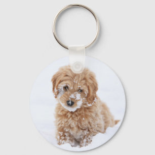 Goldendoodle Puppy With Snow On Face Key Ring