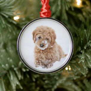 Goldendoodle Puppy With Snow On Face Metal Ornament