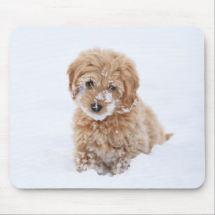 Goldendoodle Puppy With Snow On Face Mouse Pad