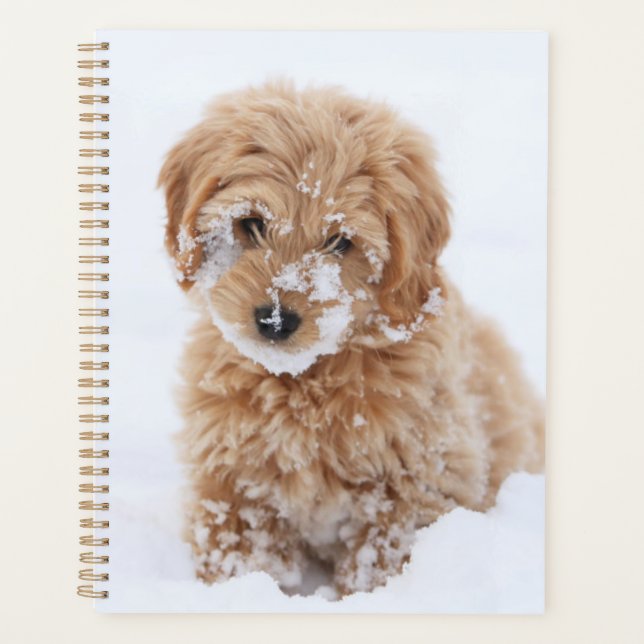 Goldendoodle Puppy With Snow On Face Planner (Front)