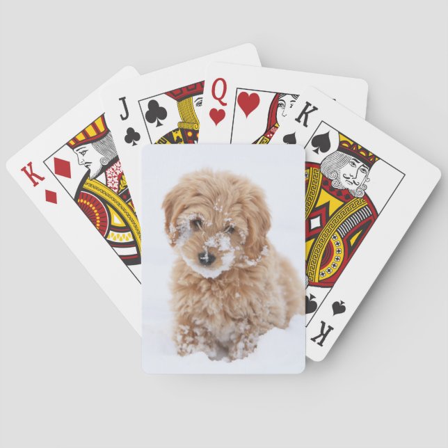 Goldendoodle Puppy With Snow On Face Playing Cards (Back)