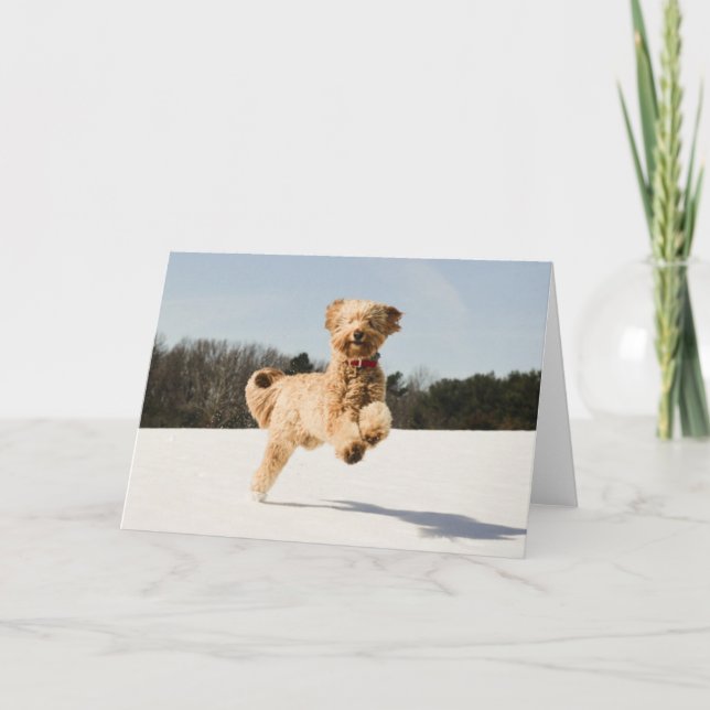 Goldendoodle Running Through Field Card (Front)