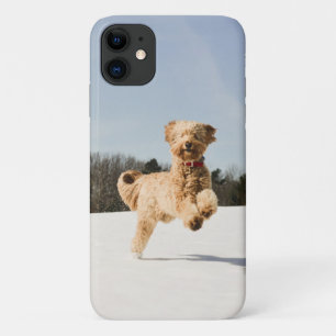 Goldendoodle Running Through Field iPhone 11 Case
