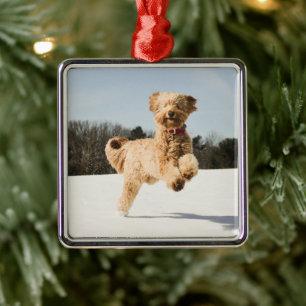 Goldendoodle Running Through Field Metal Ornament
