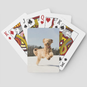 Goldendoodle Running Through Field Playing Cards