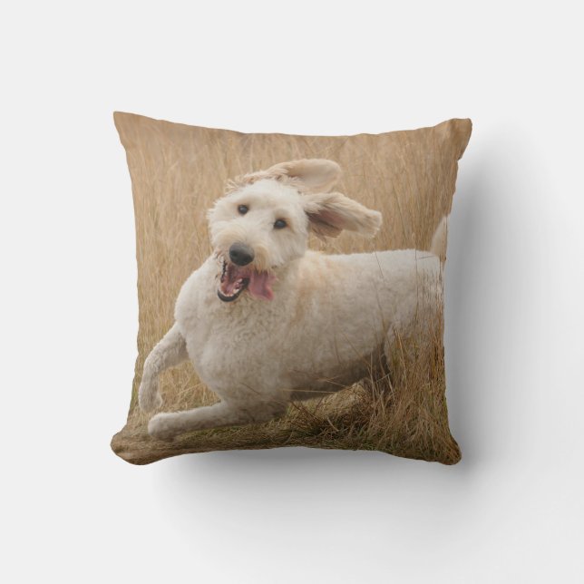 Goldendoodle Runs Through Grass Cushion (Front)