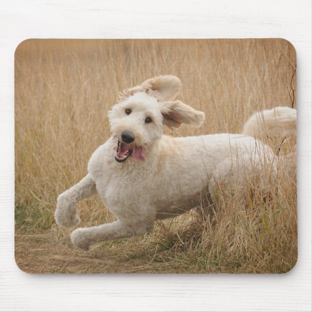 Goldendoodle Runs Through Grass Mouse Pad (Front)