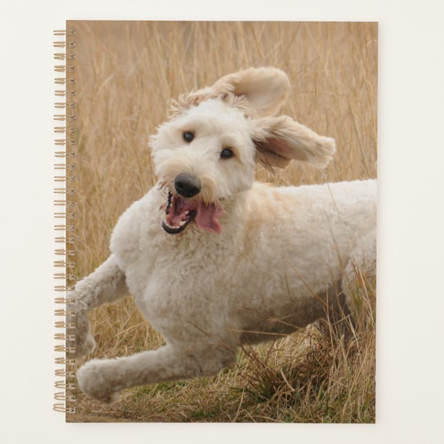 Goldendoodle Runs Through Grass Planner (Front)