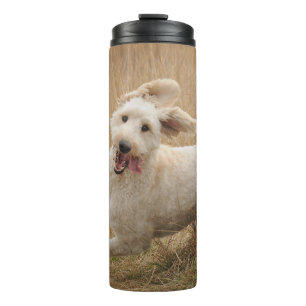 Goldendoodle Runs Through Grass Thermal Tumbler