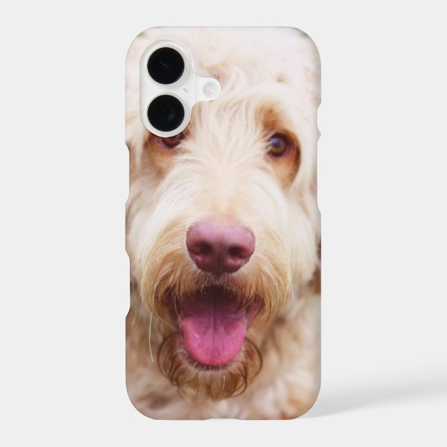 Goldendoodle Smiling (Back)
