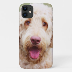 Goldendoodle Smiling iPhone 11 Case