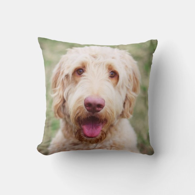 Goldendoodle Smiling Cushion (Front)