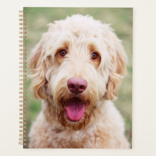Goldendoodle Smiling Planner (Front)