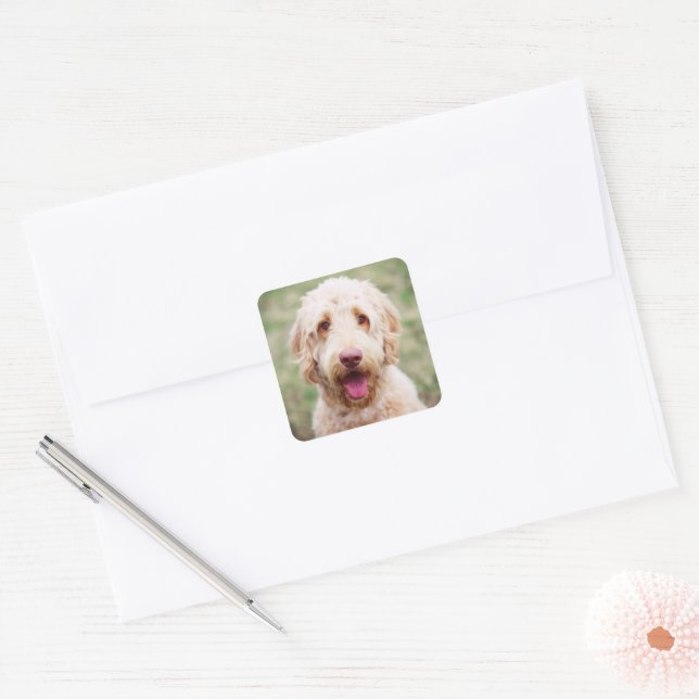Goldendoodle Smiling Square Sticker (Envelope)