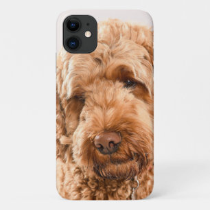 Goldendoodle Studio Portrait iPhone 11 Case
