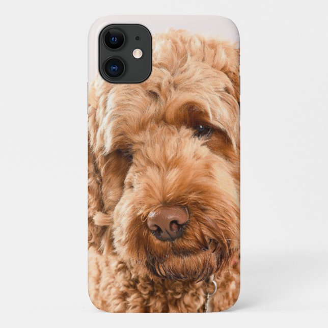 Goldendoodle Studio Portrait Case-Mate iPhone Case (Back)