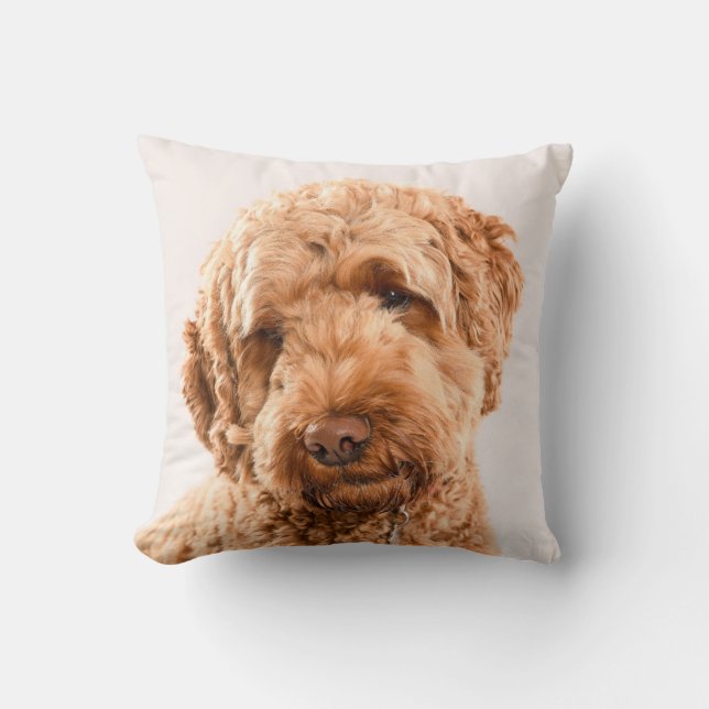 Goldendoodle Studio Portrait Cushion (Front)
