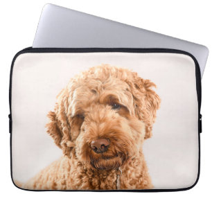 Goldendoodle Studio Portrait Laptop Sleeve