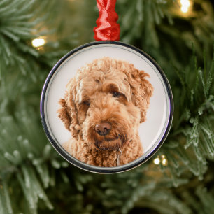 Goldendoodle Studio Portrait Metal Ornament