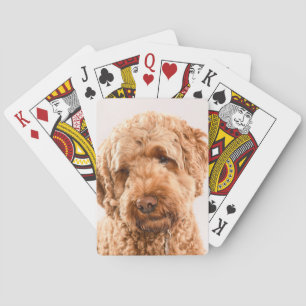 Goldendoodle Studio Portrait Playing Cards
