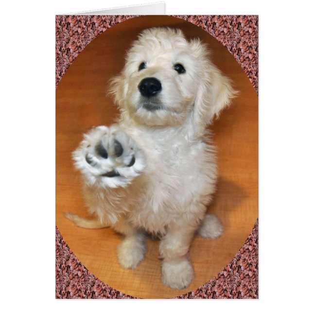 Goldendoodle Talk to the Paw card (Front)