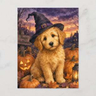 Goldendoodle Witch Hat Pumpkin Postcard