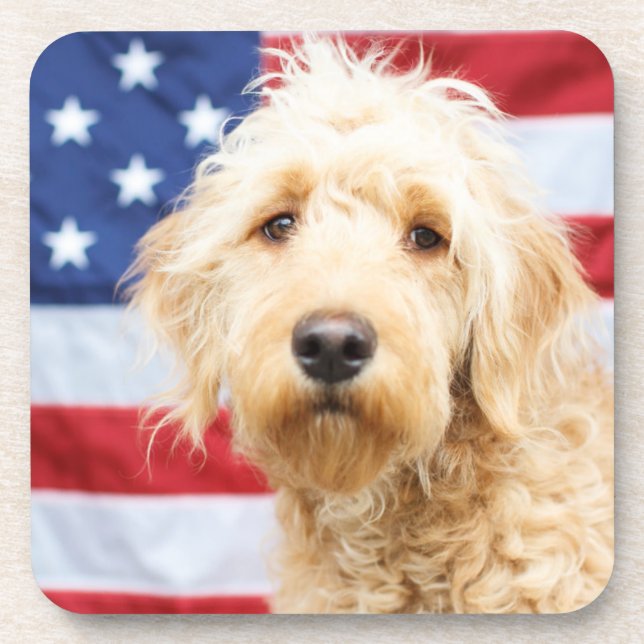 Goldendoodle With American Flag Coaster (Front)