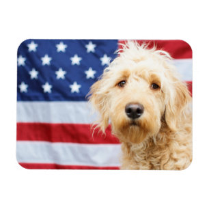 Goldendoodle With American Flag Magnet