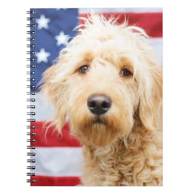 Goldendoodle With American Flag Notebook (Front)