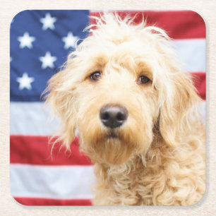 Goldendoodle With American Flag Square Paper Coaster
