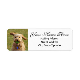 Goldendoodle with Ball Return Address Label