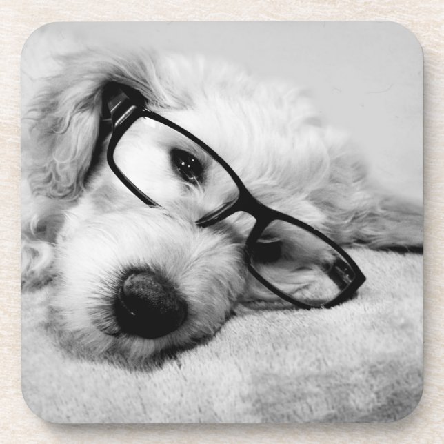 Goldendoodle With Glasses Coaster (Front)
