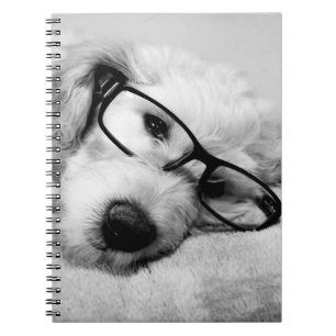 Goldendoodle With Glasses Notebook