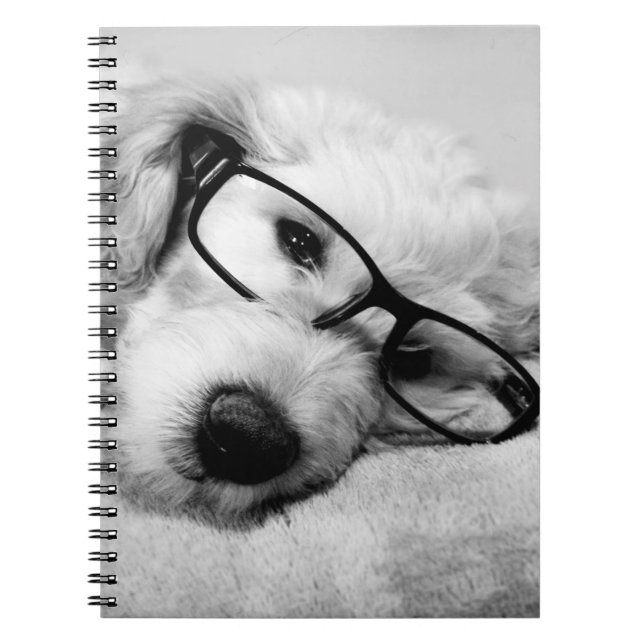 Goldendoodle With Glasses Notebook (Front)