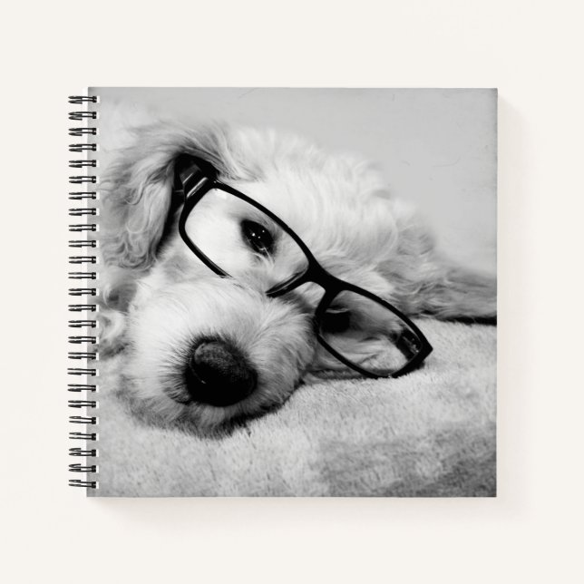 Goldendoodle With Glasses Notebook (Front)