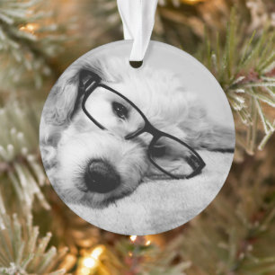 Goldendoodle With Glasses Ornament