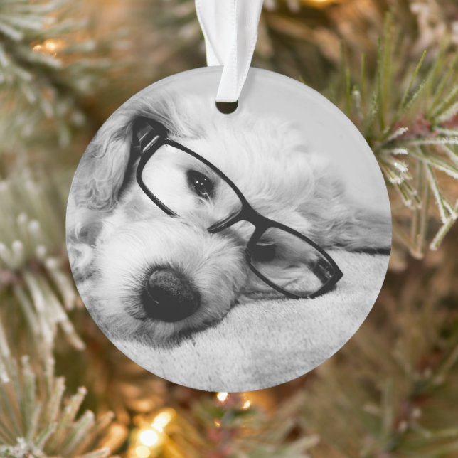 Goldendoodle With Glasses Ornament (Tree)