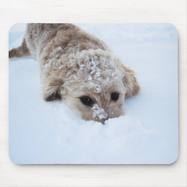 Goldendoodle With Nose In Snow Mouse Pad (Front)